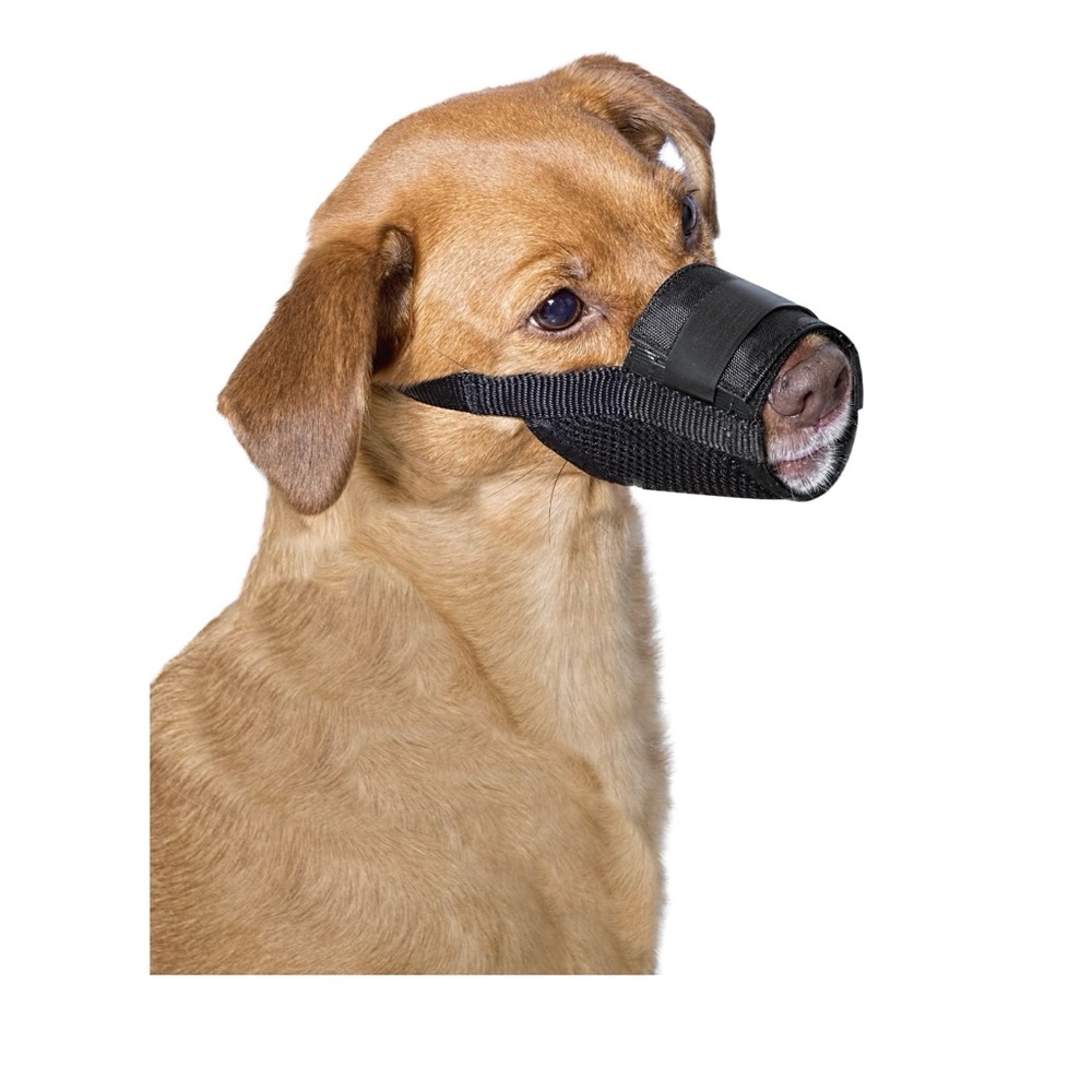 Bozal de perro